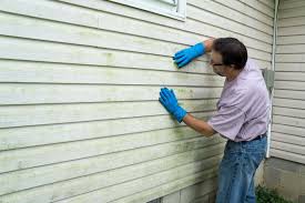 Best Siding Painting and Refinishing  in Mequon, WI